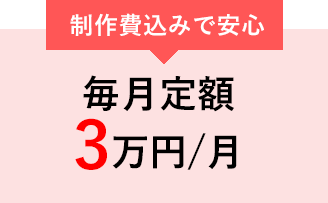 毎月定額3万円/月